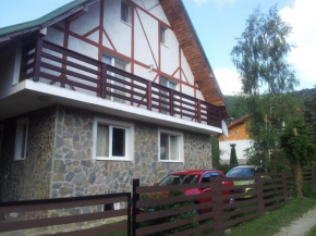Гостиница Cabana Ninel  Валиуг